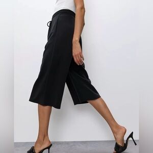Aritzia Babaton Luiz Wide Leg Pant Medium NWT